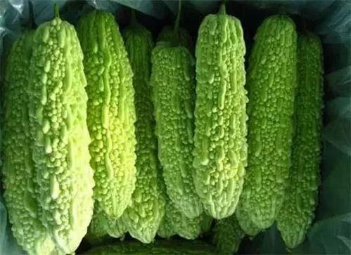 南宁南理吃瓜,吃瓜群众围观校园新鲜事