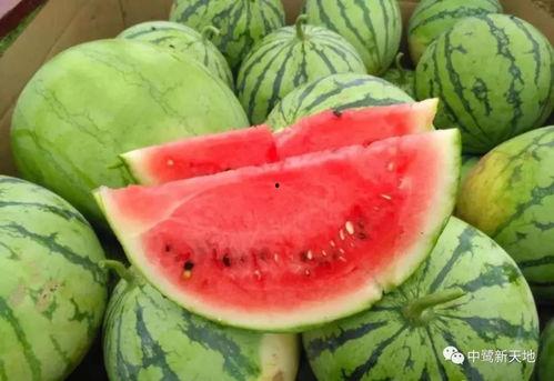 小俞今天吃瓜,揭秘娱乐圈新鲜事