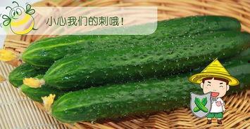 六月吃瓜指的是什么瓜