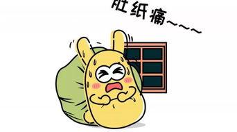 吃瓜群众代表,吃瓜群众视角下的娱乐圈风云录