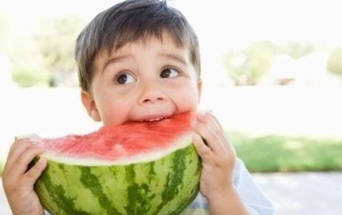 吃瓜快手宝舅舅,网络红人的崛起之路